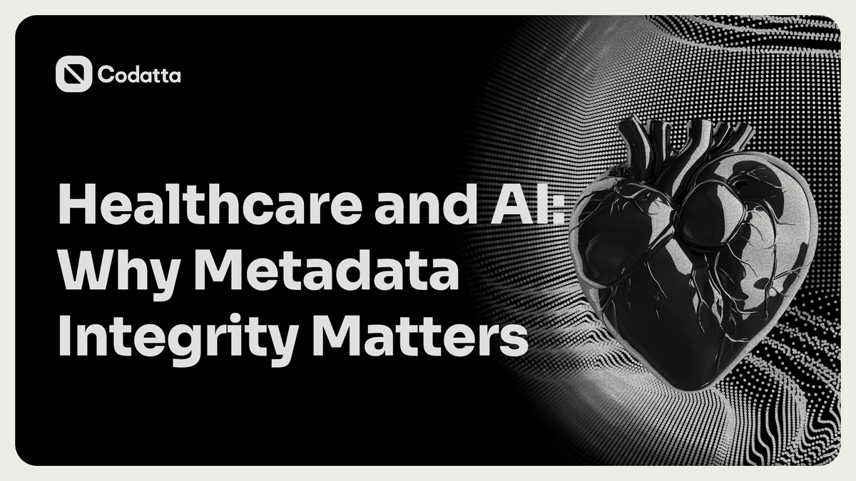 Healthcare and AI: Why Metadata Integrity Matters