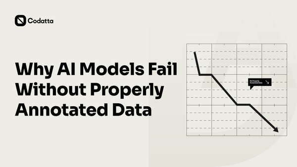 Why AI Models Fail Without Properly Annotated Data